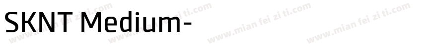 SKNT Medium字体转换